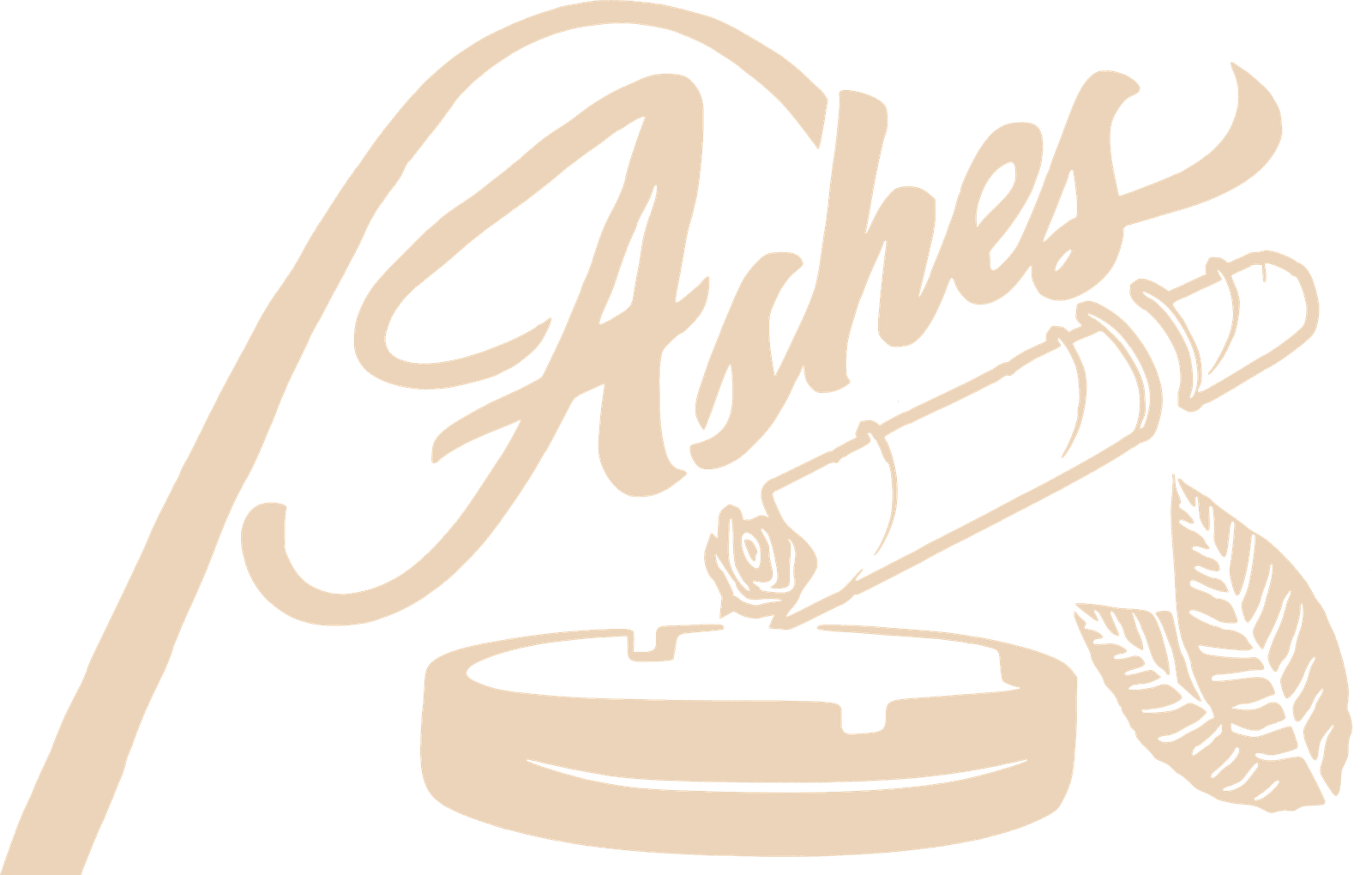 Ashes Cigar Lounge St. Louis